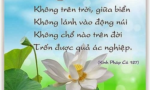 Tôn giả A Nan