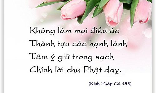 [Khóa 09] – Tập 02: Luận A Đà Na Thức