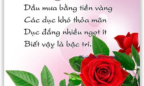 Dù chưa chết sự hiểu biết về thân trung ấm có giá trị như thế nào?