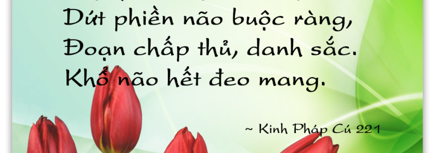 Thiền Tứ Niệm Xứ – [Thích Trí Siêu]