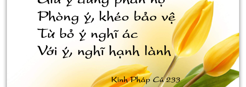 Phật Hóa Hữu Duyên Nhơn