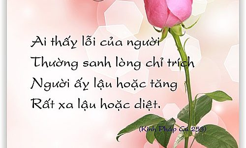 Sầu Vương Mớ Tóc