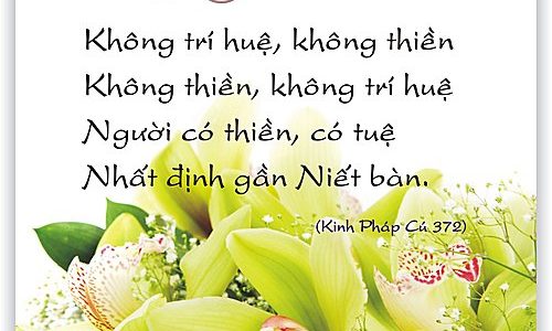 [Khóa 09] – Tập 04: Duy Thức Tam Thập Tụng Di Giải (Tiếp theo)