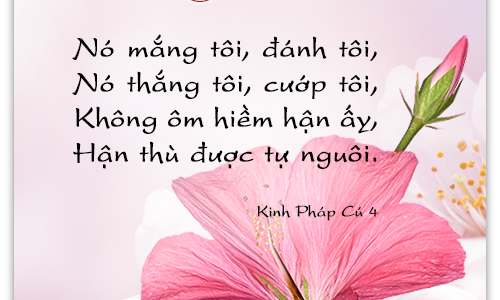 [Khóa 05] – Bài Thứ 05: Phong Trào Chấn Hưng Phật Giáo