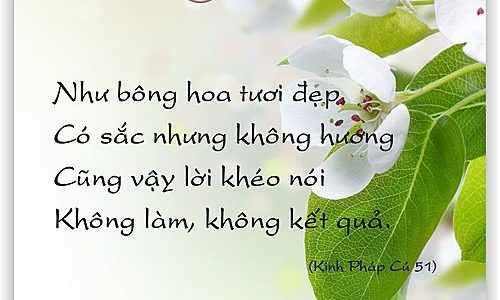 Từ Bi Là Căn Bản Của Đạo Phật