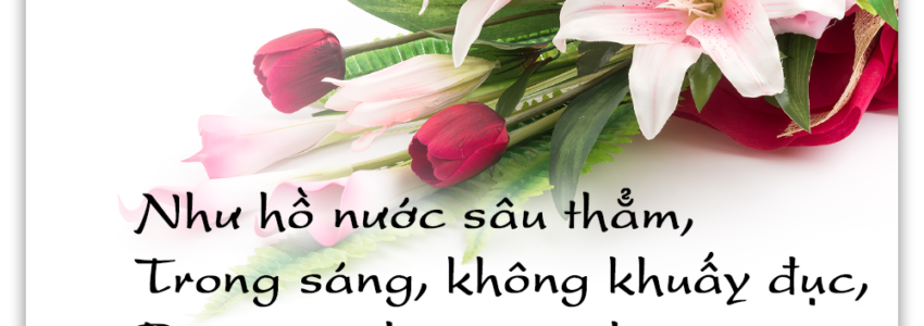 [Khóa 10 -11]  – Chương 02: Phần Giải Thích