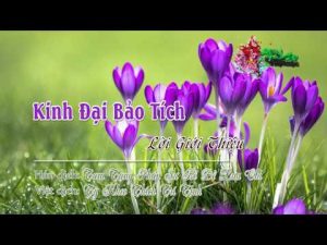 Kinh Đại Bảo Tích (Audio)