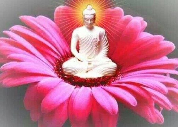 http://www.nirvanapeace.com/images/2014/1/buddha_pic/buddha_flower_nirvana.jpg