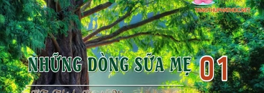 Những Dòng Sữa Mẹ (Audio)