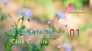 Bố Thí Ba La Mật (Audio)