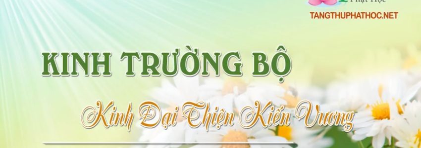 Kinh Trường Bộ 2 (Audio)