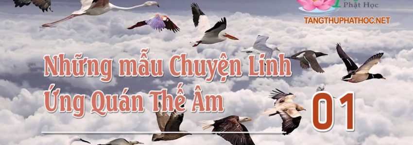 Những Mẫu Chuyện Linh Ứng Quán Thế Âm (Audio)