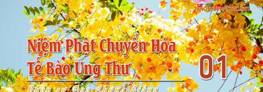 Niệm Phật Chuyển Hóa Tế Bào Ung Thư (Audio)