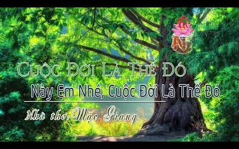 CD 11: Cuộc Đời Là Thế Đó