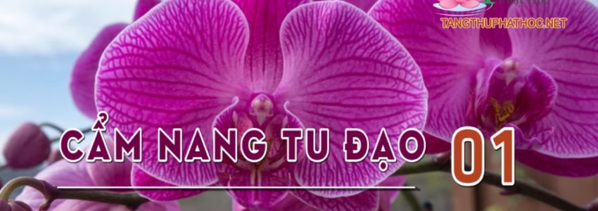 Cẩm Nang Tu Đạo 2022 (Audio)