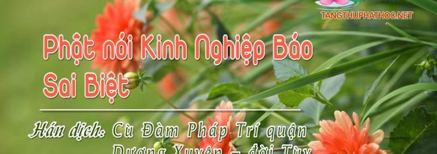 Kinh Nghiệp Báo Sai Biệt (Audio)