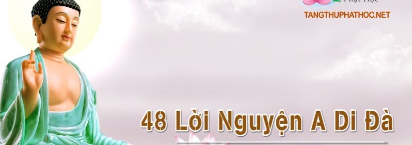 48 Đại Nguyện Của Đức Phật A Di Đà