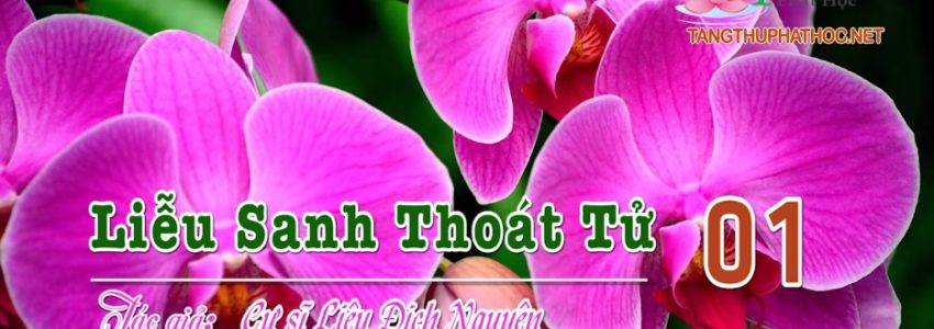 Liễu Sanh Thoát Tử (Audio)