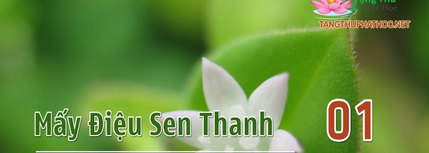 Mấy Điệu Sen Thanh (Audio)