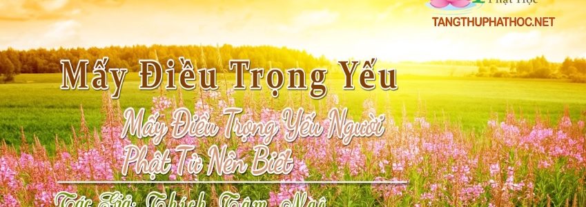 Mấy Điểm Trọng Yếu Mà Người Niệm Phật Nên Biết (Audio)