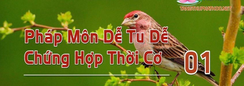 Pháp Môn Dễ Tu Dễ Chứng Hợp Thời Cơ (Audio)