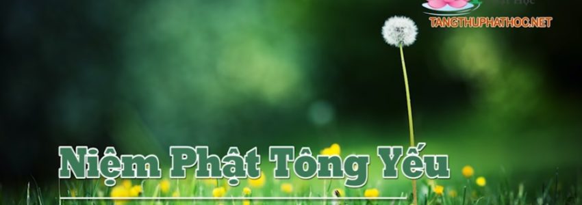 Niệm Phật Tông Yếu (Audio)