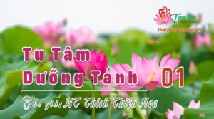 Tu Tâm (Audio)