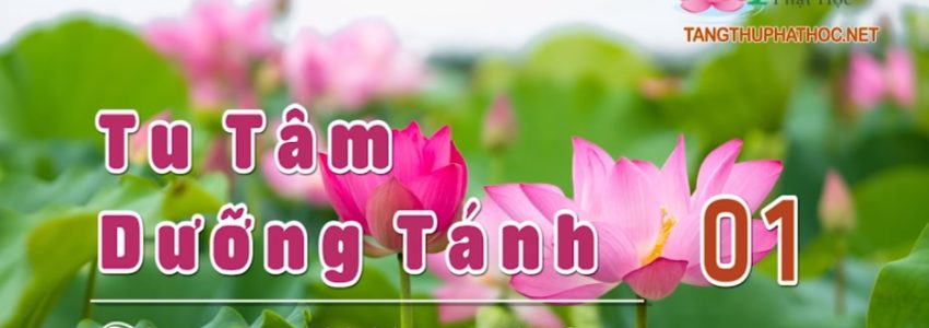 Tu Tâm (Audio)