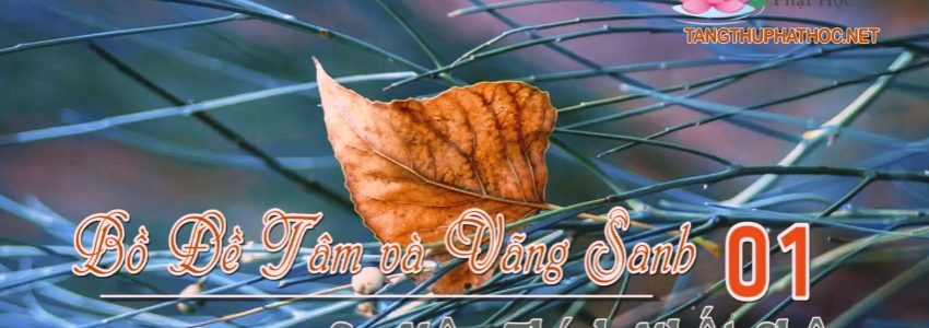 Bồ Đề Tâm Và Vãng Sanh