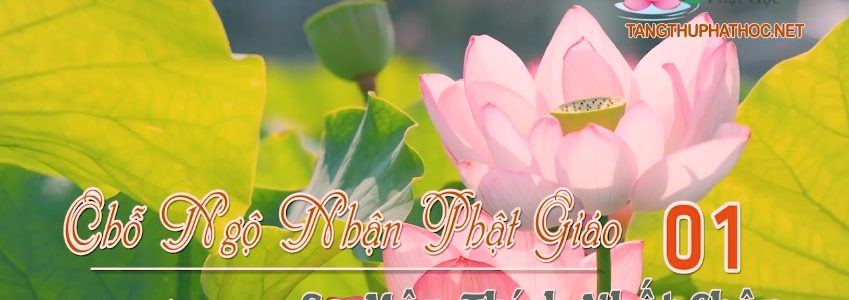 Chỗ Ngộ Nhận Phật Giáo