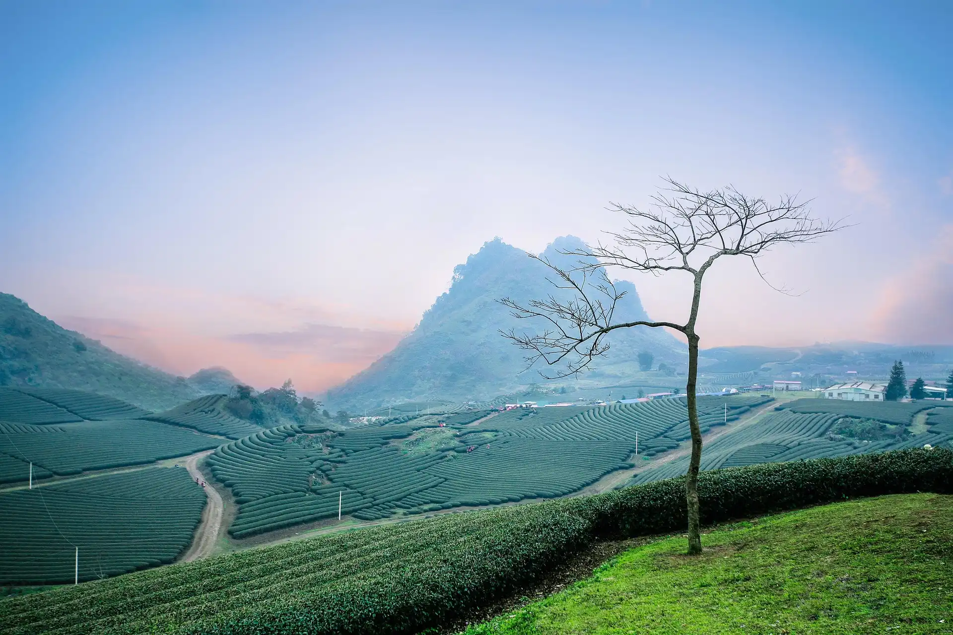 Đường Từ Tâm (NĐ)