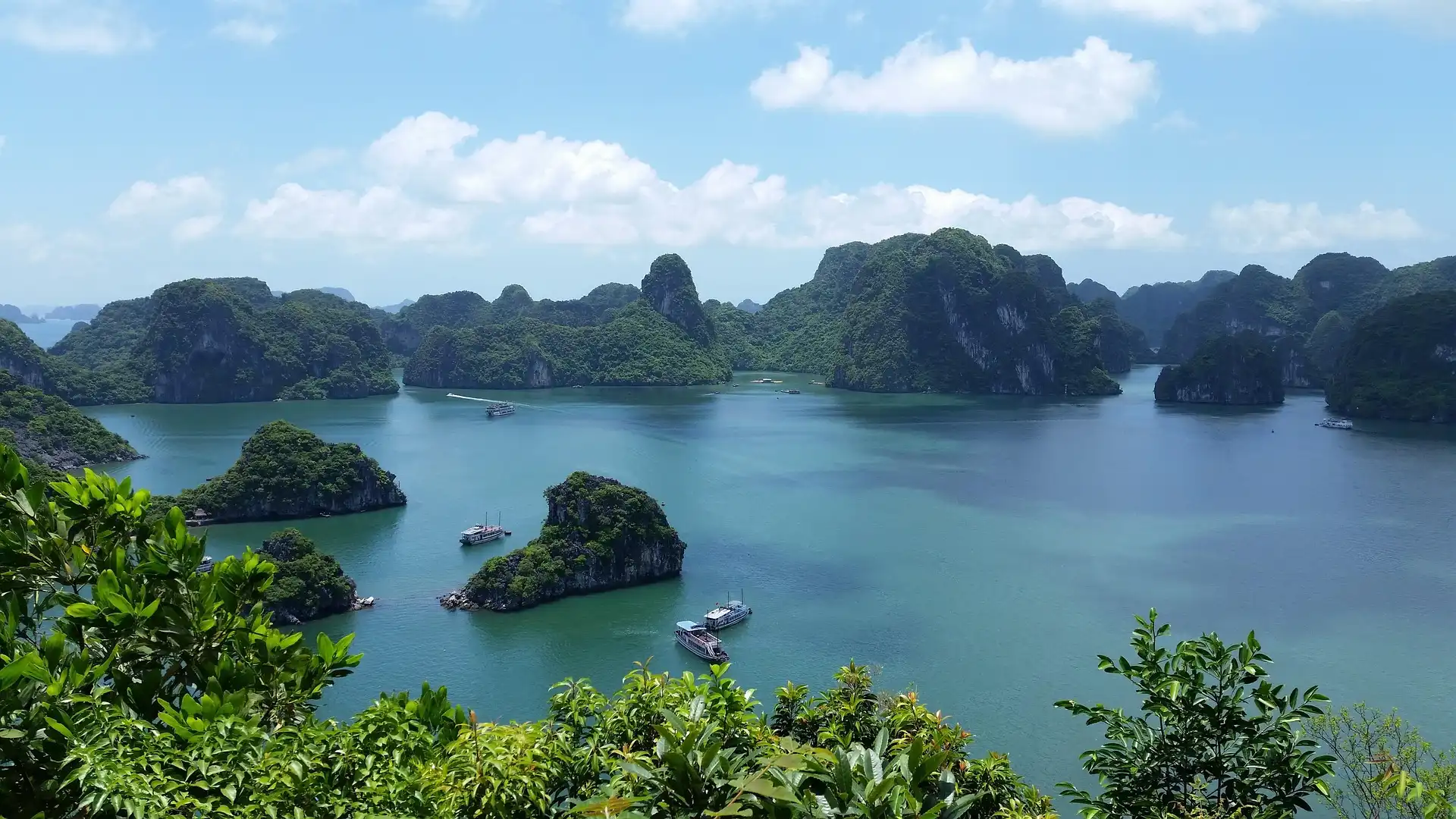 Thông Báo Thỉnh Sách “Diệu Pháp Liên Hoa Kinh Luân Quán Hội Nghĩa” Tại Việt Nam