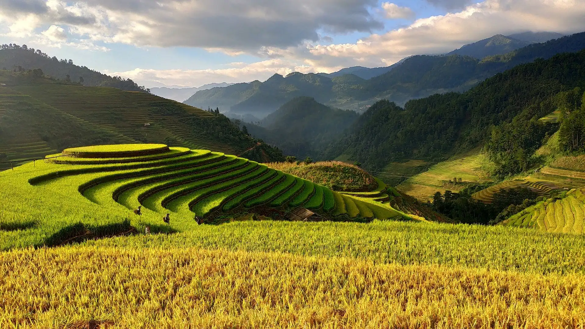 Tham Tiền Niệm Phật