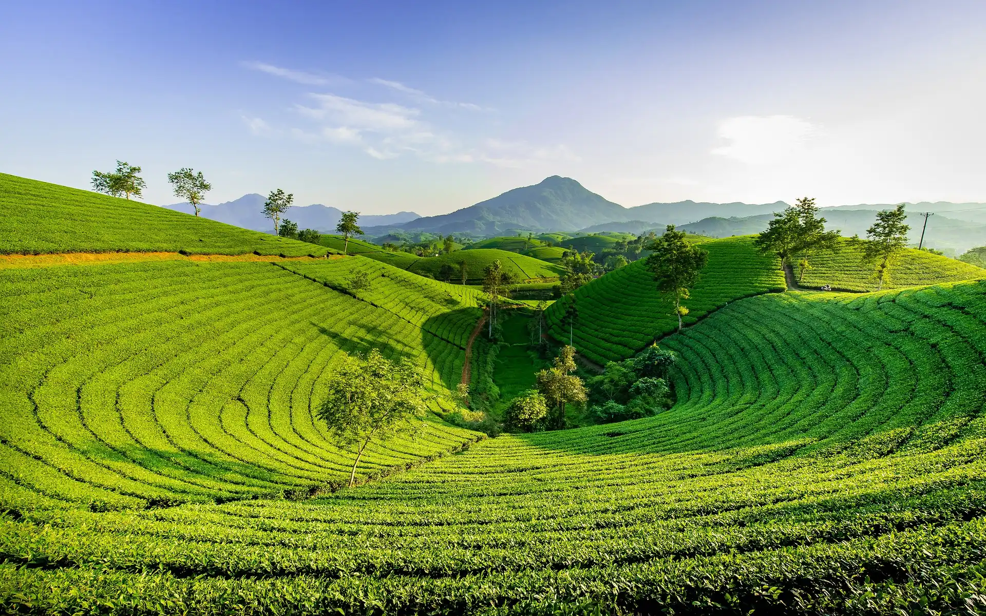 Bố Thí Theo Quan Điểm Phật Giáo