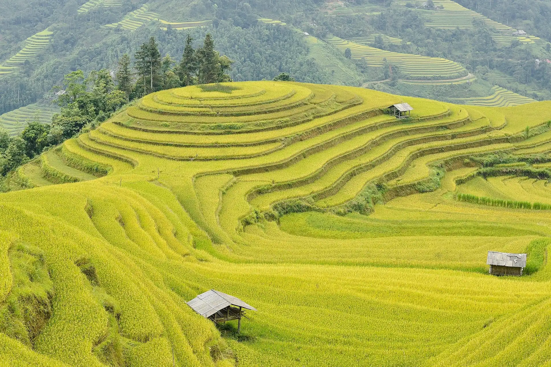 Cốt Lõi Của Đạo Phật