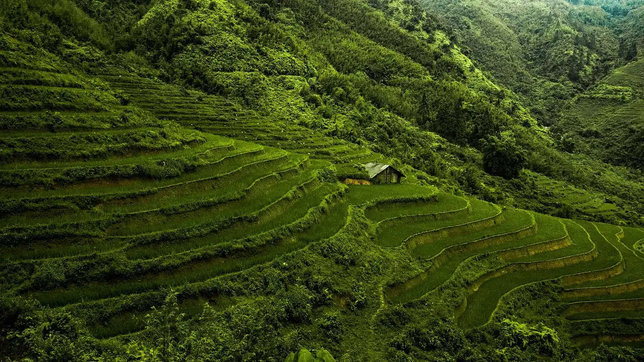 Bộ Mật Tông (pdf)