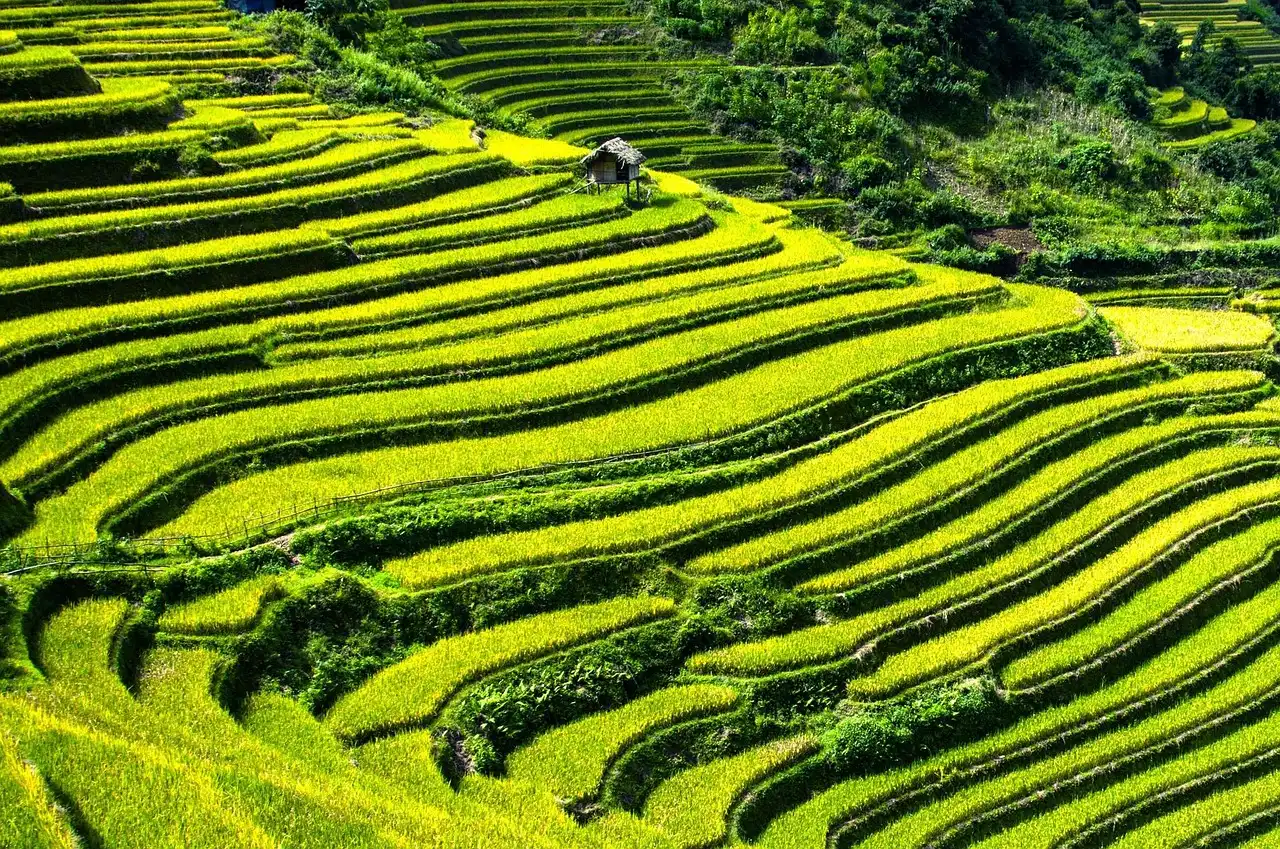 Kinh Pháp Cú – Chuyển Dịch Thơ (pdf)
