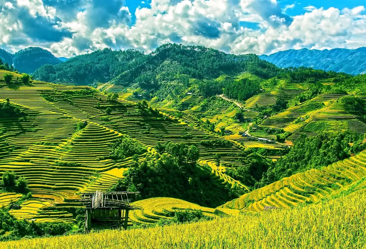 Kinh Pháp Cú – Bản Biên Tập (pdf)
