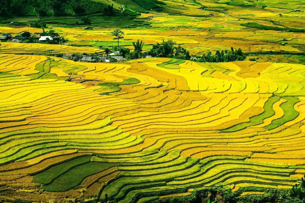 Kinh Pháp Cú Vần Lục Bát (pdf)