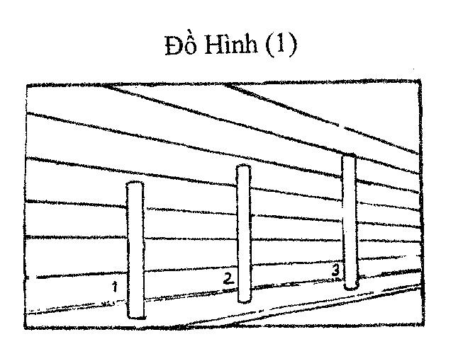 dh1.jpg